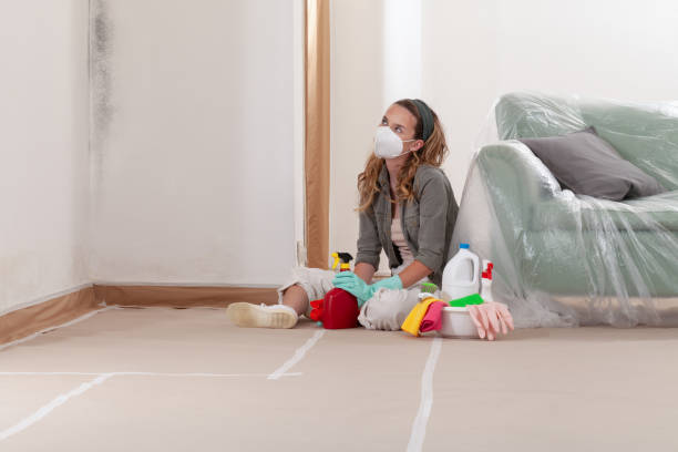Reliable Mold Inspection contractor in Pine Level, NC by WQB Mold Removal